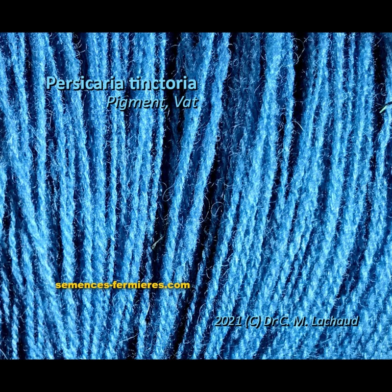 Exemple de Teinture à l'Indigotine : Bleu Azur
