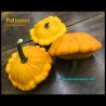 Cucurbita pepo - Pattypan Squash - Seeds